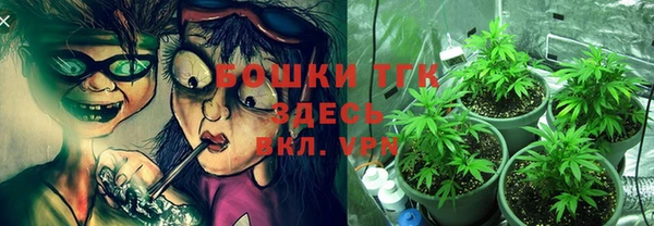 бошки Вяземский