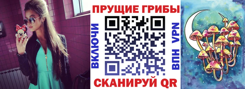 Псилоцибиновые грибы прущие грибы  где найти наркотики  Далматово 